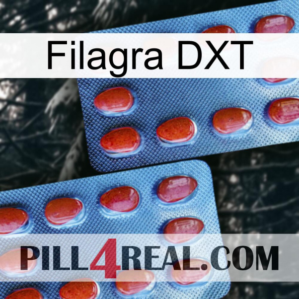 Filagra DXT 05.jpg